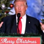 Trump Admin Cuts Christmas Tree and Firewood Permits to $1, Saving Families Hundreds