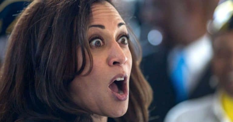 Kamala’s Controversy: Faith Group Calls Out VP’s Anti-Catholic Stance