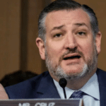 Ted Cruz Sounds Alarm on Democrat Plan to Secure Future Elections through Illegal Immigration