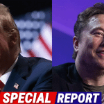 Elon Musk Teases Possible MSNBC Buyout as Left-Wing Media Craters Post-Trump Win