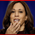 Kamala Fans Asked to Name Her Accomplishments, But They Struggle to Answer
