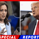 After Kamala Dodges Trump Debates, Donald Proposes Solo Town Hall Events