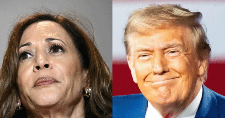 Kamala Panics Over New National Poll, Her Honeymoon Has Become a Nightmare