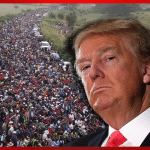 Trump Makes Big Migrant Claim, Says Illegals Should Not Get Trials Before Deportation