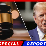 Federal Judge in Blue State Sides with Trump, Allows Him to Use Bill to Deport Illegals