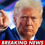 CNN Stumped As Trump’s Grocery Price Prediction Comes True