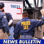 ICE Data Shows 70% of Illegal Immigrants Arrested in 2025 Have Criminal Records in US