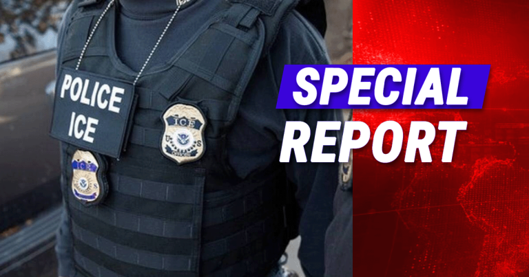 ICE Officer Receives Public Support After Self-Defense Shooting of Car Attacker