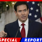 Trump Administration Freezes Immigrant Visas For 75 Countries Over Welfare Concerns