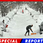 Winter Storm Fern Exposes Green Energy Failures as Traditional Fuels Supply 80% of Power