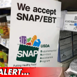 Texas Implements New SNAP Work Requirements Under Trump Administration Bill