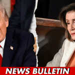 Trump Calls Out Nancy Pelosi Over Stock Trading During State of the Union Address