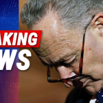 CNN Poll: 55% of Democrat Voters Say Congressional Democrats Have the Wrong Priorities