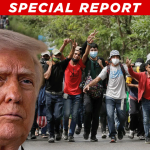 Pew Research: Nearly 10% of 2023 US Births Were to Illegal or Temporary Immigrants