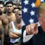 Trump Announces Nearly 300,000 Illegal Aliens Removed from Social Security Rolls and 100,000 from Medicare