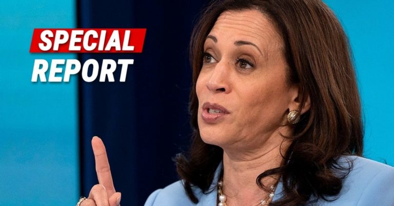 Trump Hits Kamala in Weak Spot, Blames Bad Economy on Harris