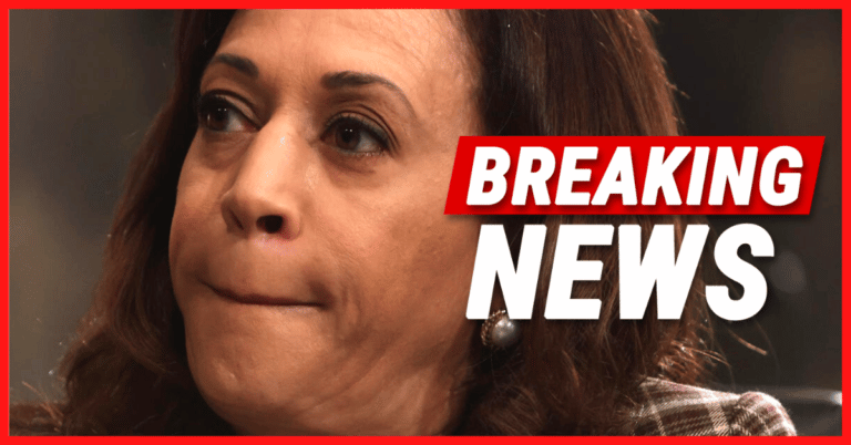 Kamala Harris Suddenly on the Hot Seat – Liberals Just Begged Her to Do 1 Thing Immediately