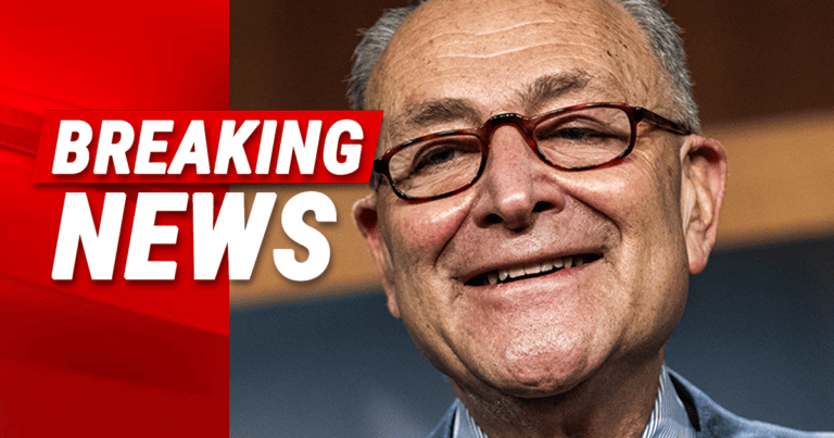 Chuck Schumer Just Said the Quiet Part Out Loud – He Just Admitted to Supporting Basics of “Great Replacement Theory”