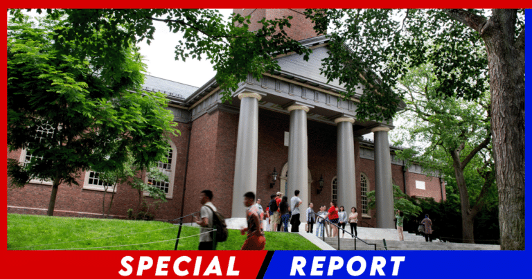 Pro-Hamas Students Nailed by Karma – Now Watch the Snowflakes Scramble