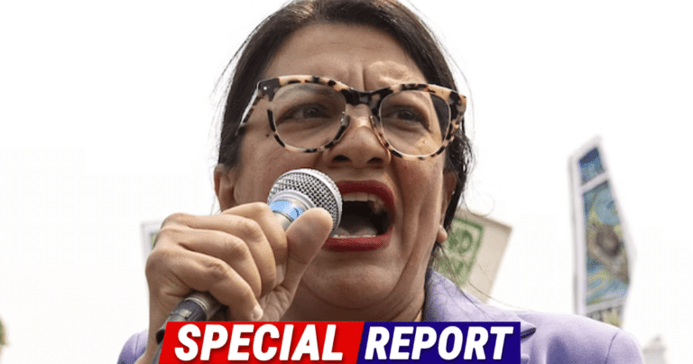 Squad Member Tlaib Insults Netanyahu, Gets Immediate Backlash