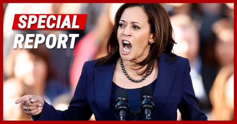 Kamala’s Fascist Hitler Comparisons Fall Flat as Undecided Voters Roll Their Eyes